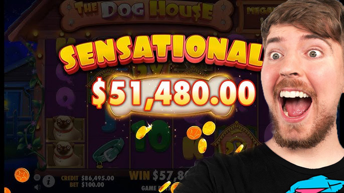 Mr Beast Win Big in Dog House